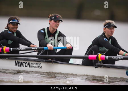 London, UK. 31. Januar 2016. Regatta-Befestigung.  Cambridge University Women Boat Club V Oxford Brookes. Bildnachweis: Duncan Grove/Alamy Live-Nachrichten Stockfoto