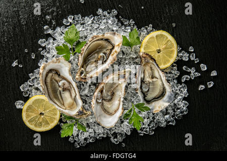 Austern auf Steinplatte serviert mit Eisgang Stockfoto