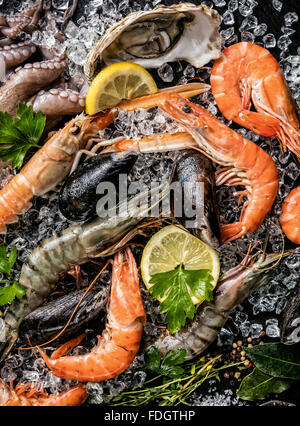 Meeresfrüchte serviert auf schwarzem Stein Stockfoto