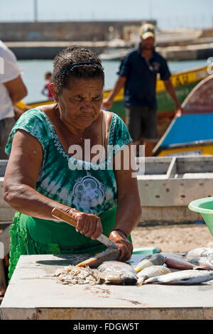 Vertikale Porträt einer lokalen kapverdischen Frau Zubereitung von Fisch auf dem Kai in Palmeira, Kap-Verde Inseln Stockfoto