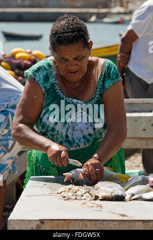 Vertikale Porträt einer lokalen kapverdischen Frau ausnehmen frischen Fisch auf dem Kai in Palmeira auf den Kapverden. Stockfoto