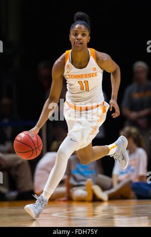 31. Januar 2016: Diamond DeShields #11 der Tennessee Lady Freiwilligen bringt den Ball Hof bei den NCAA-Basketball-Spiel zwischen der University of Tennessee Lady Freiwilligen und der University of Alabama Crimson Tide in der Thompson-Boling-Arena in Knoxville TN Tim Gangloff/CSM Stockfoto