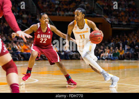 31. Januar 2016: Diamond DeShields #11 der freiwilligen Tennessee Lady treibt in den Korb gegen Karyla Middlebrook #22 von der Alabama Crimson Tide bei den NCAA-Basketball-Spiel zwischen der University of Tennessee Lady Freiwilligen und der University of Alabama Crimson Tide in der Thompson-Boling-Arena in Knoxville TN Tim Gangloff/CSM Stockfoto