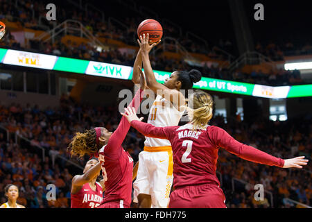 31. Januar 2016: Diamond DeShields #11 der Tennessee Lady Freiwilligen schießt den Ball über Diamante Martinez #35 von der Alabama Crimson Tide bei den NCAA-Basketball-Spiel zwischen der University of Tennessee Lady Freiwilligen und der University of Alabama Crimson Tide in der Thompson-Boling-Arena in Knoxville TN Tim Gangloff/CSM Stockfoto