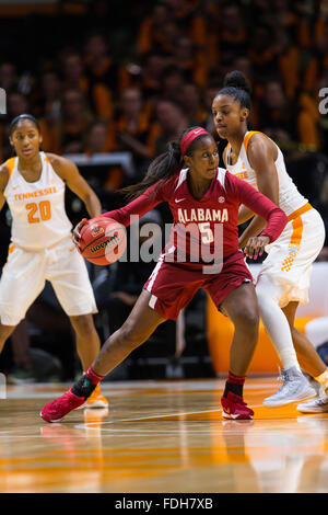 31. Januar 2016: Diamond DeShields #11 der Tennessee Lady Freiwilligen verteidigt Breanna Hayden #5 von der Alabama Crimson Tide bei den NCAA-Basketball-Spiel zwischen der University of Tennessee Lady Freiwilligen und der University of Alabama Crimson Tide in der Thompson-Boling-Arena in Knoxville TN Tim Gangloff/CSM Stockfoto