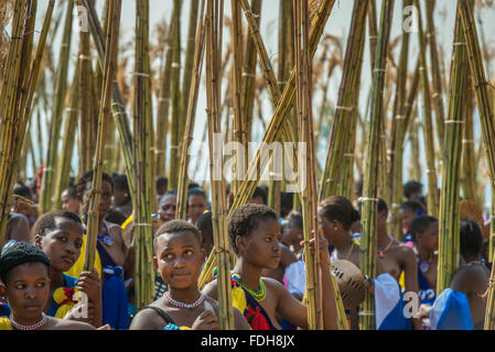 Ludzidzini, Swasiland, Afrika - die Swazi Umhlanga oder Reed Dance Zeremonie, 100.000 unverheiratete Frauen oder Jungfrauen, feiern thei Stockfoto