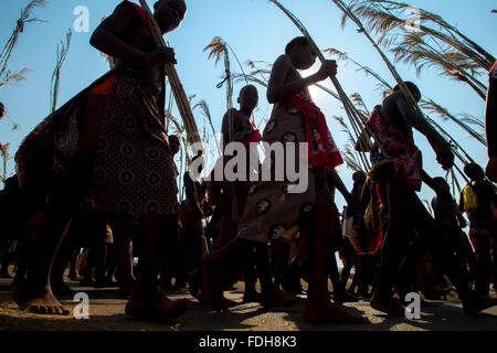 Ludzidzini, Swasiland, Afrika - die Swazi Umhlanga oder Reed Dance Zeremonie, 100.000 unverheiratete Frauen oder Jungfrauen, feiern thei Stockfoto