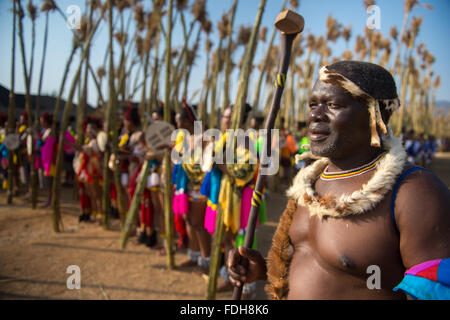 Ludzidzini, Swasiland, Afrika - die Swazi Umhlanga oder Reed Dance Zeremonie, 100.000 unverheiratete Frauen oder Jungfrauen, feiern thei Stockfoto