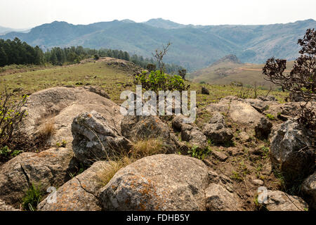 Bergige Landschaft im Mlilwane Wildlife Sanctuary in Swasiland, Afrika. Stockfoto