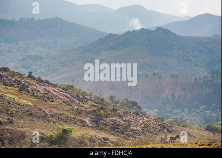 Bergen und Feldern im Mlilwane Wildlife Sanctuary in Swasiland, Afrika. Stockfoto