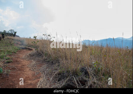 Bergen und Feldern im Mlilwane Wildlife Sanctuary in Swasiland, Afrika. Stockfoto