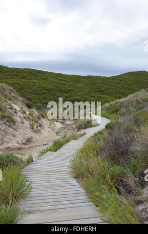 Fußweg durch die Dünen zu auffällige Klippe, Western Australia Stockfoto