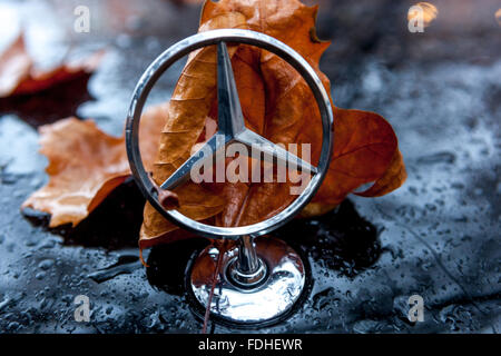 Detail des Mercedes Benz Auto-Schildes, altes Abzeichen, Herbstblätter auf die nasse Autohaube gefallen, fällt Stockfoto