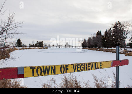 Stadt von Vegreville outdoor skating Teich im Winter Stockfoto