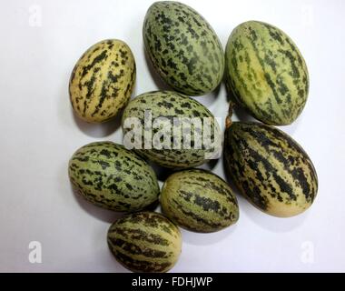 Wild Melon, Cucumis Melo Var Agrestis, kleine fruchtigen Melone mit grüner Haut mit dunklen grünen Flecken, blasse grüne Fleisch, Gurke Stockfoto