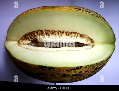 Cucumis Melo Var Cantapulensis, afghanische Melone, afghanische Honigtau Melong, große Größe creamish große Frucht, süß, knackig Stockfoto