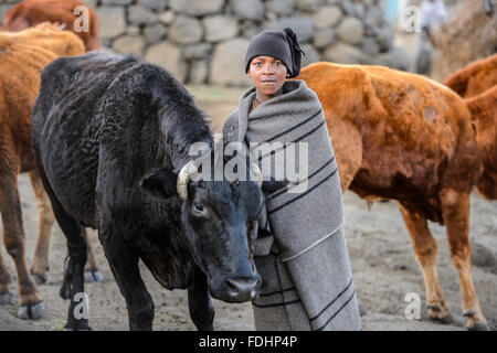 Kleiner Junge mit seiner Rinder in einem Dorf in Lesotho, Afrika in eine Decke gehüllt Stockfoto