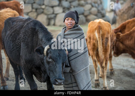 Kleiner Junge mit seiner Rinder in einem Dorf in Lesotho, Afrika in eine Decke gehüllt Stockfoto