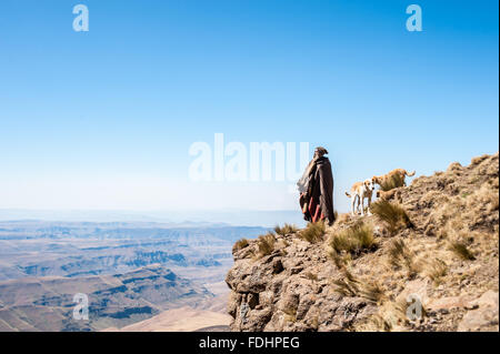 Hirte mit seinen Hunden steht man vor einer Bergkette eingewickelt in Decken in Lesotho, Afrika Stockfoto