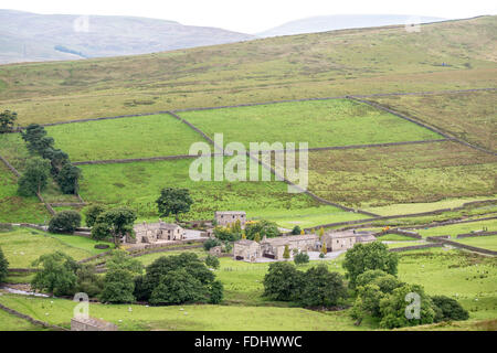 Wirtschaftsgebäude und Almen in die Täler von Yorkshire, England, UK. Stockfoto