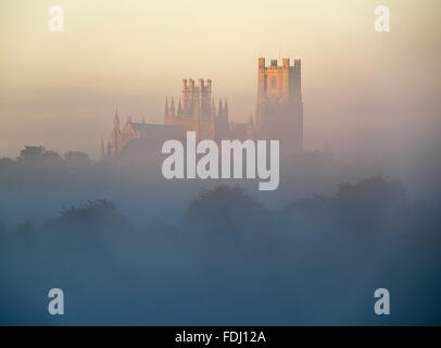 Ely Kathedrale ergibt sich aus einem herbstlichen Morgendämmerung Nebel Stockfoto