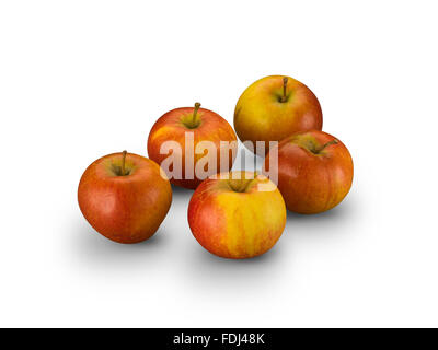 Bio pippin Äpfel isoliert auf weißem Stockfoto