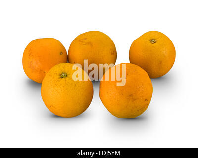 Organische medium Orangen isoliert auf weißem Stockfoto