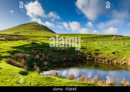 Ein Teich unterhalb des Gipfels von Caer Caradoc, in der Nähe von Kirche Stretton, Shropshire, England, UK Stockfoto