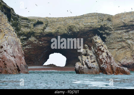 Paracas nationalen Reservierung, Islas Ballestas, Heimat für zahlreiche Vogelarten. Peru. Stockfoto