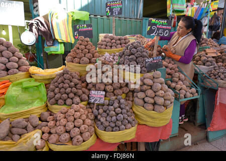 Arequipa, Peru - 1. September 2015: Innenraum der Zentralmarkt in Arequipa, Peru. Stockfoto