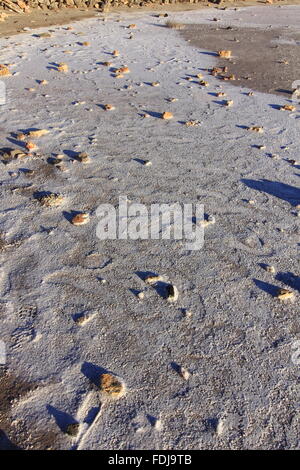 Trocknen Sie natürliche Salzseen (Salinas) an der Küste von Murcia, Spanien Stockfoto