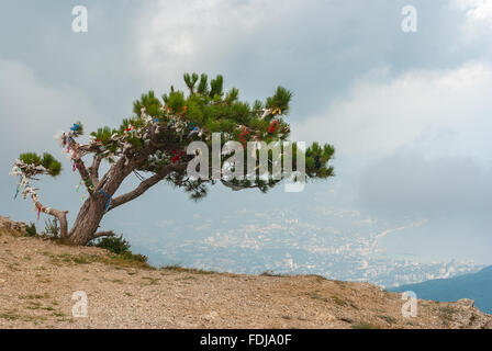 Landschaft mit einem Wunsch-Baum auf Ai-Petri Berg über der Stadt Jalta auf Cimean Halbinsel Stockfoto