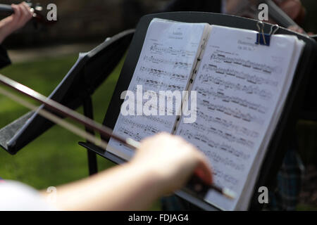 Junge Frauen spielen der Violine Noten lesen Stockfoto