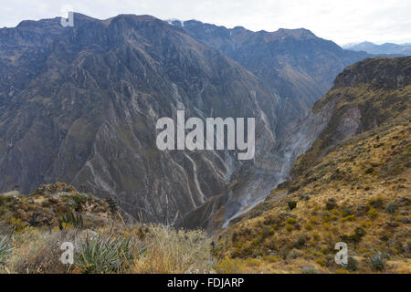 Colca Canyon, Peru. Stockfoto