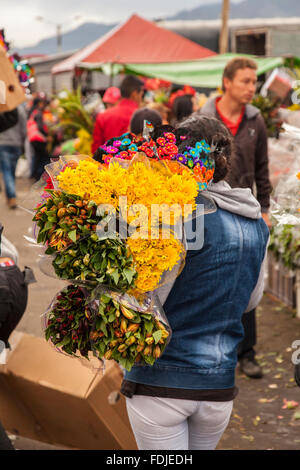 Blumen in Paloquemao Landwirte Blumenmarkt in Bogota, Kolumbien, Südamerika. Stockfoto