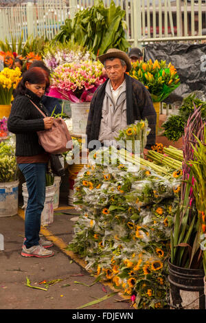 Blumen in Paloquemao Landwirte Blumenmarkt in Bogota, Kolumbien, Südamerika. Stockfoto