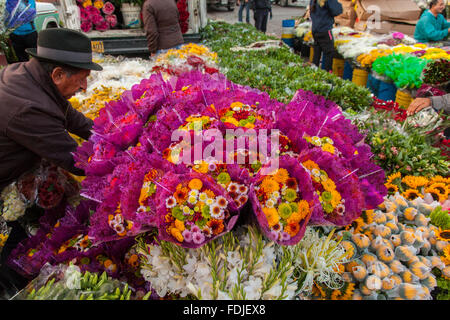 Blumen in Paloquemao Landwirte Blumenmarkt in Bogota, Kolumbien, Südamerika. Stockfoto