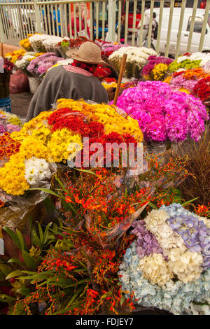 Blumen in Paloquemao Landwirte Blumenmarkt in Bogota, Kolumbien, Südamerika. Stockfoto