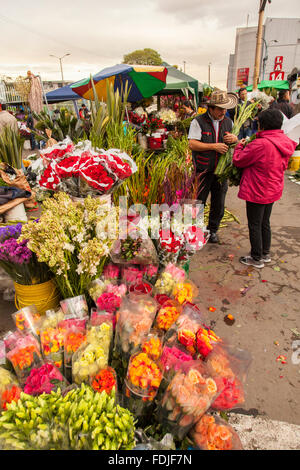 Blumen in Paloquemao Landwirte Blumenmarkt in Bogota, Kolumbien, Südamerika. Stockfoto