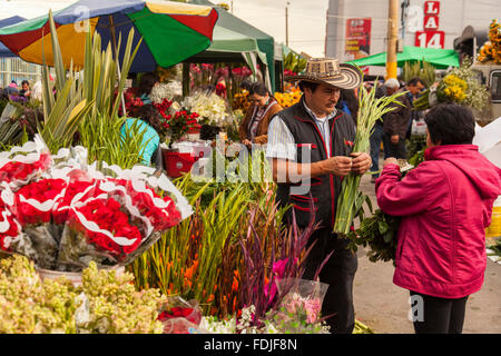 Blumen in Paloquemao Landwirte Blumenmarkt in Bogota, Kolumbien, Südamerika. Stockfoto