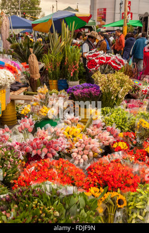 Blumen in Paloquemao Landwirte Blumenmarkt in Bogota, Kolumbien, Südamerika. Stockfoto