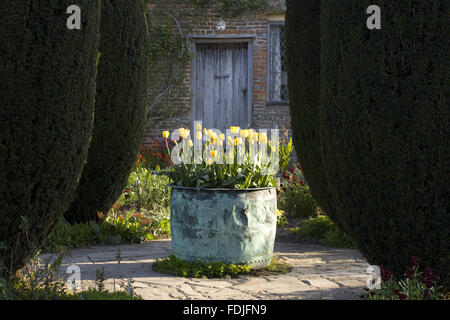 Gelbe Tulpen im Kupfer Zier Pflanzer in der Cottage-Garten Sissinghurst Castle Garden, in der Nähe von Cranbrook, Kent. Stockfoto