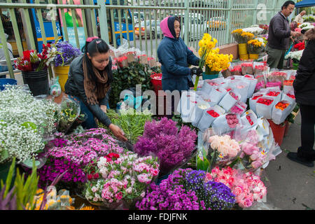 Blumen in Paloquemao Landwirte Blumenmarkt in Bogota, Kolumbien, Südamerika. Stockfoto