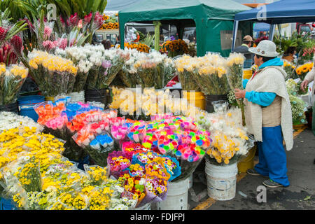 Blumen in Paloquemao Landwirte Blumenmarkt in Bogota, Kolumbien, Südamerika. Stockfoto