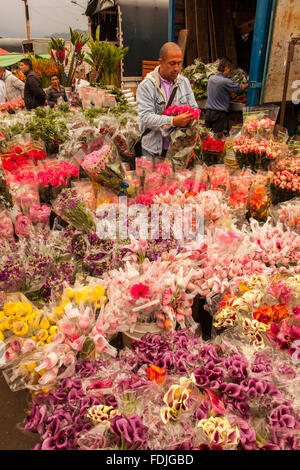 Blumen in Paloquemao Landwirte Blumenmarkt in Bogota, Kolumbien, Südamerika. Stockfoto