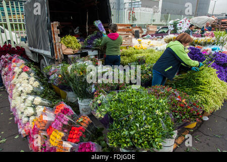 Blumen in Paloquemao Landwirte Blumenmarkt in Bogota, Kolumbien, Südamerika. Stockfoto