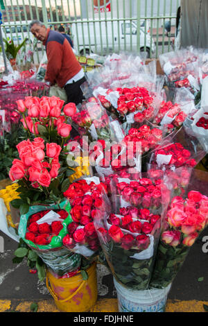 Blumen in Paloquemao Landwirte Blumenmarkt in Bogota, Kolumbien, Südamerika. Stockfoto