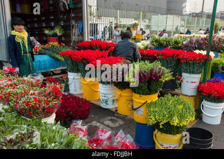 Blumen in Paloquemao Landwirte Blumenmarkt in Bogota, Kolumbien, Südamerika. Stockfoto