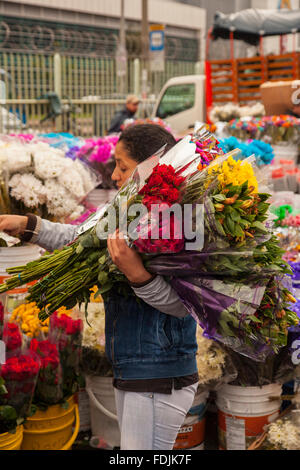 Blumen in Paloquemao Landwirte Blumenmarkt in Bogota, Kolumbien, Südamerika. Stockfoto