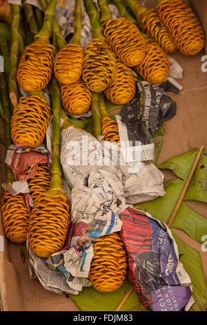 Blumen in Paloquemao Landwirte Blumenmarkt in Bogota, Kolumbien, Südamerika. Stockfoto